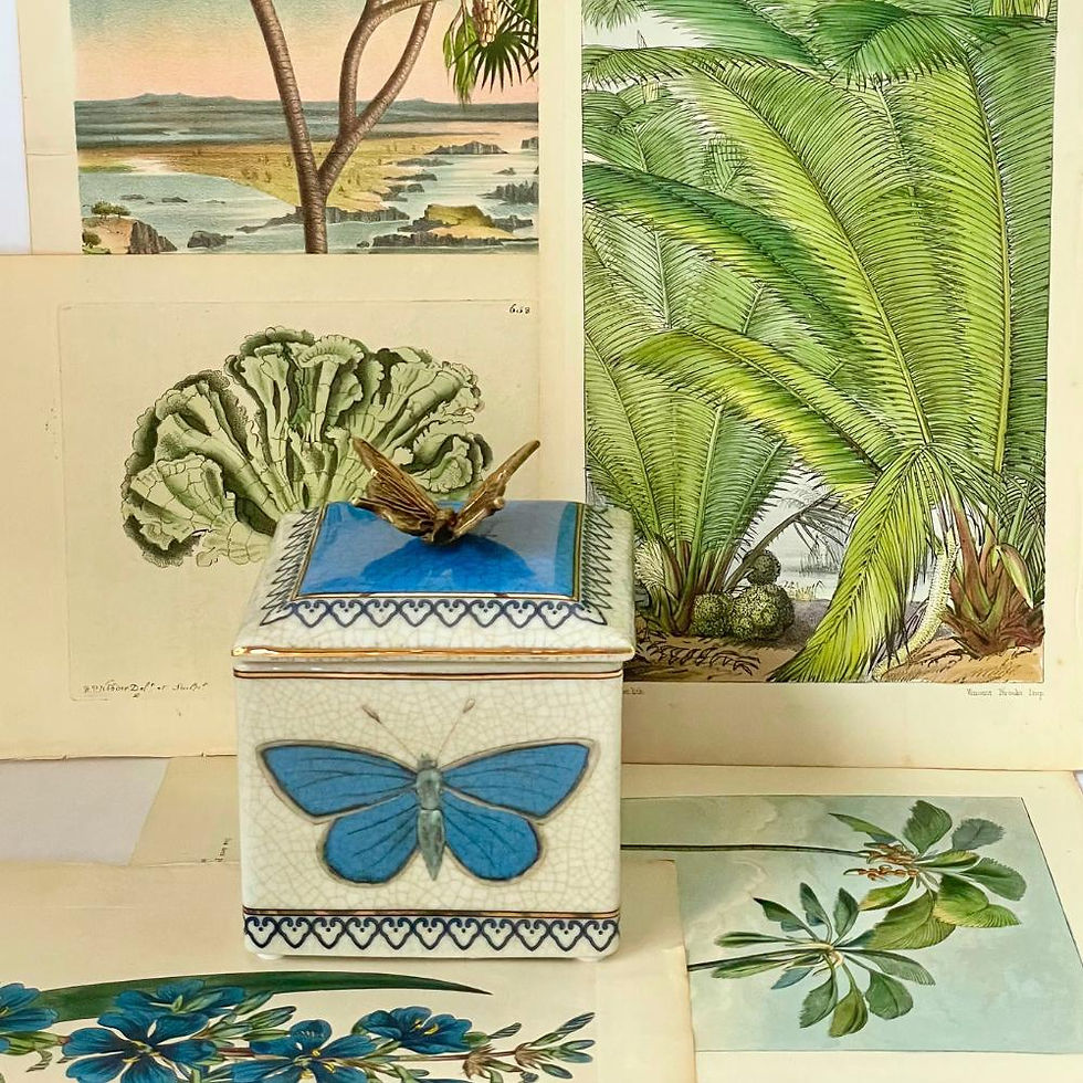 Thumbnail: Entomologie Trinket Box - Mariposa