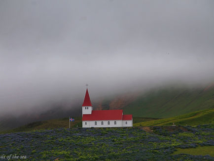 Reminiscing to 2019: An Icelandic summer