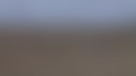 Are we loosing touch with nature on the beach?