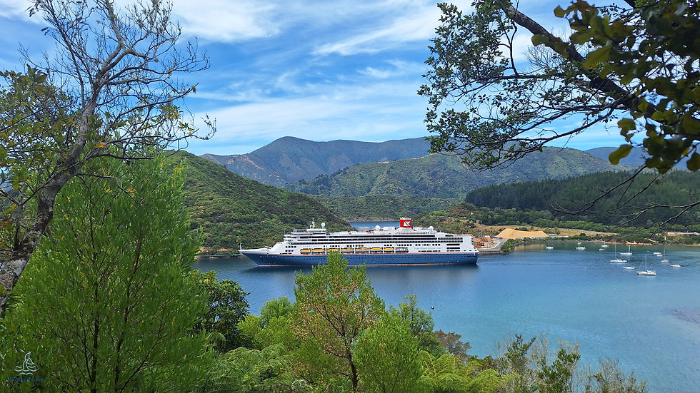 Borealis in New Zealand, Queen Charlotte sound, Picton
