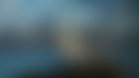 Introducing my hometown, a marine wildlife hotspot!