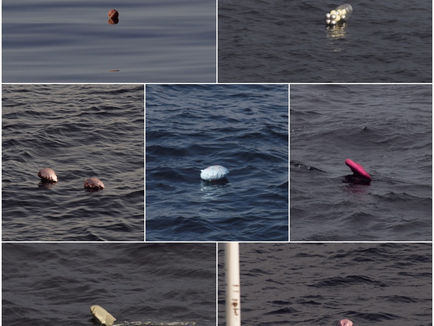 What is that floating in the North Sea?