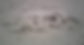 Screen Shot 2019-06-11 at 5.35.20 PM