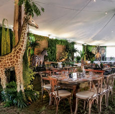Animal Theme theme decor hire