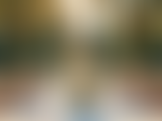 Top Johannesburg Wedding Venues