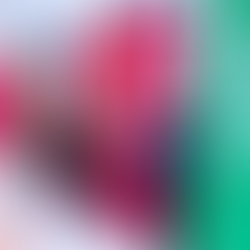 At the UN, we have been occupied with the beginning of the busy UN commission season. The Commission on Social Development was held at the end of January.