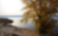 hainer_see_00012226_k.jpg