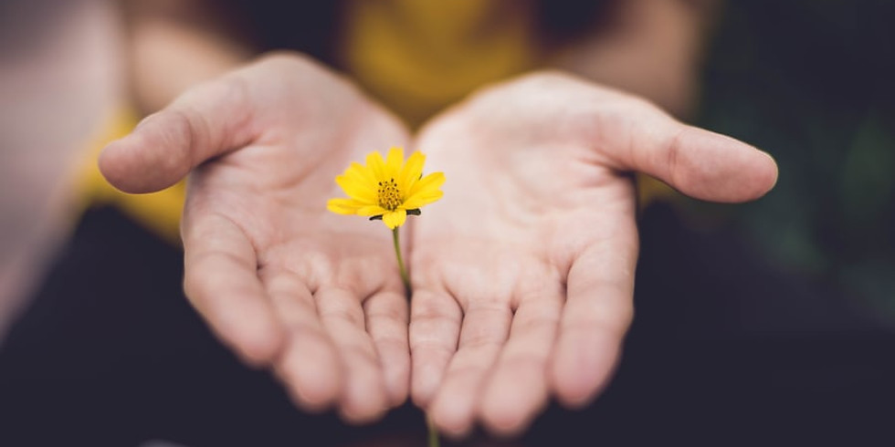 Mindfulness Meditation Retreat | Mar 18th - Mar 21st | Surrey