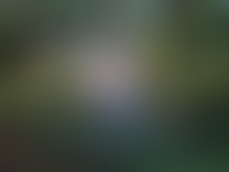 軽やかにやりたいことを