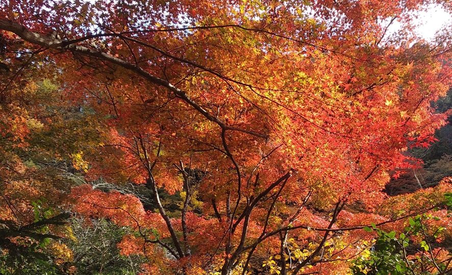 リラックス~緩み~タイム