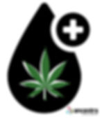 Descubre la verdad sobre el CBD: mitos desentrañados y seguridad respaldada por la ciencia. Información sobre su naturaleza no psicotrópica en este artículo.