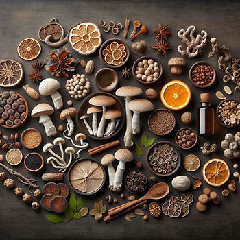Usos modernos de adaptógenos como Reishi y Ashwagandha en cápsulas y polvos