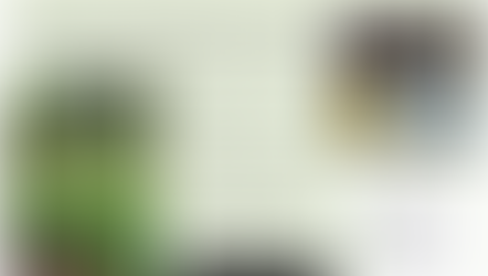 Derde Open Heuvelrugtuinen Route met ruim 600 bezoekers groot succes