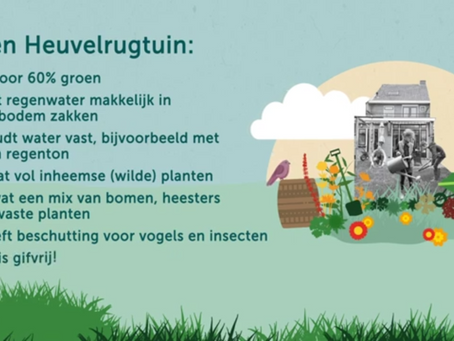 Inheemse Bomen, Planten en Kruiden