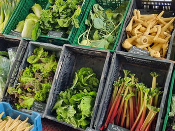 Voortgang oprichting voedselcoöperatie Utrechtse Heuvelrug