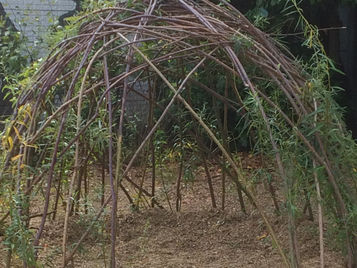 Vergroening van schoolpleinen