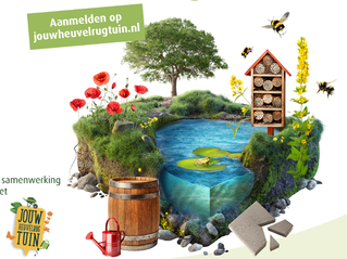 Webbinar regenpijp afkoppelen op woensdag 5 oktober!