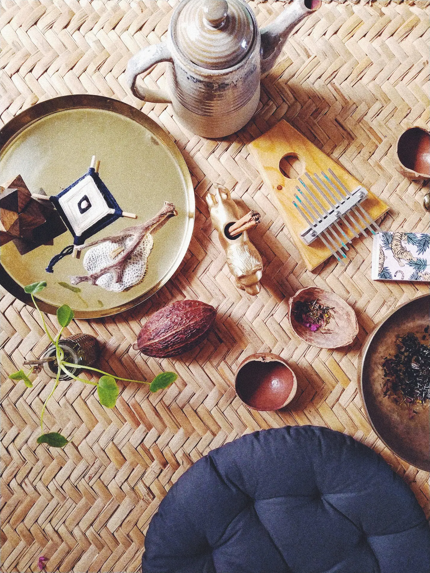 One-of-a-kind Healing Experiences in Mérida