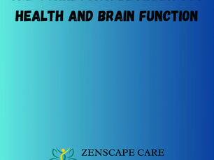 The Connection Between Gut Health and Brain Function