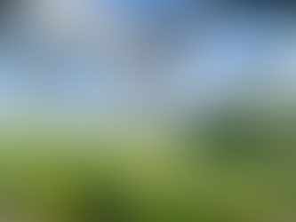 Sunny Hill by Zion Law-Sandell