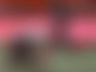 Special Delivery; CFL Special Teams Roundup - Week 16