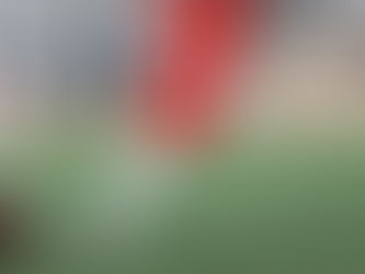 XFL Week 2 Special Teams Power Rankings; A Comprehensive Breakdown