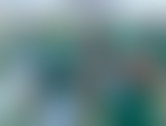 CFL - Special Teams Power Rankings Week 16 - Kickers and Punters
