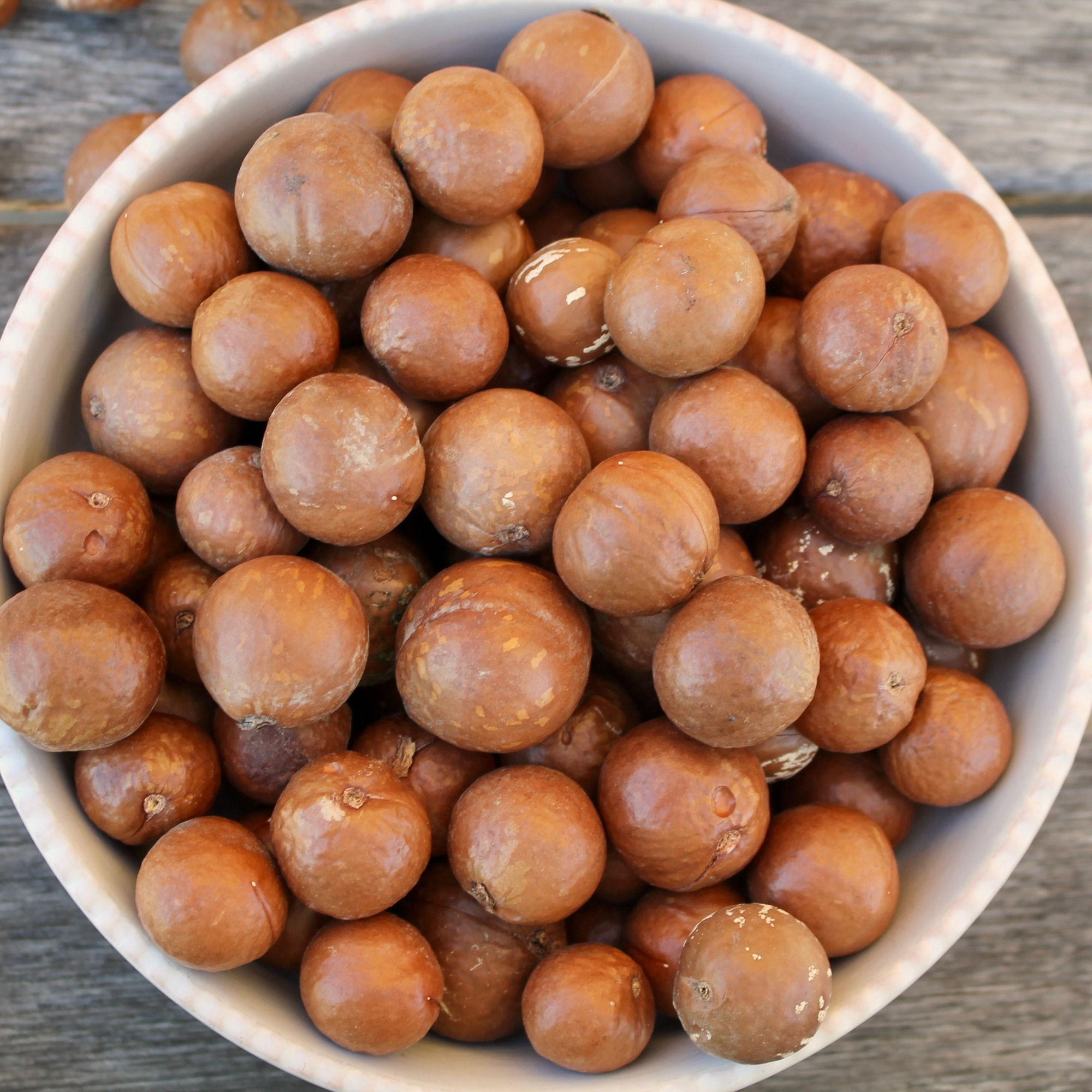 Uncracked Macadamias