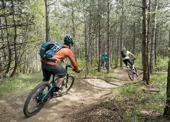 mountain bike.jpg