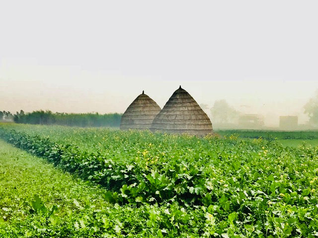 My Punjab