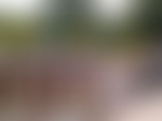 গান স্যালুটে "আলবিদা" সঙ্গীতশিল্পী