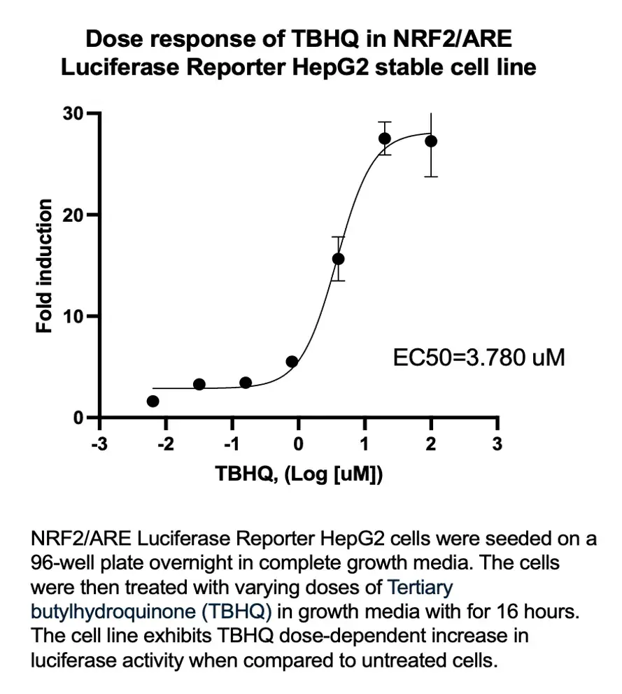 NRF2/ARE Luciferase Reporter HepG2 Stable Cell Line (2 vials)
