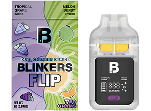 blinkers-2g-flip-dual-tropical_grape-x-melon_burst-1024x1024-2280876562.png