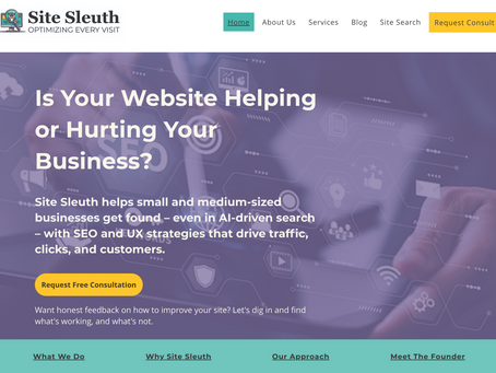 The top of the Site Sleuth homepage showing the main heading and call-to-action