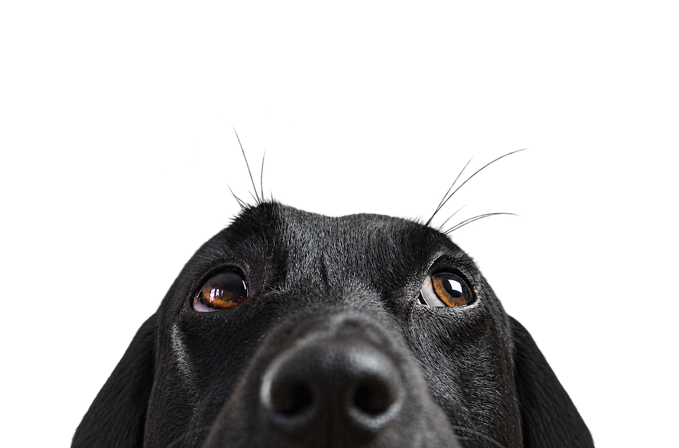 ChatGPT Image Sep 13, 2026 at 04_02_49 PM.png