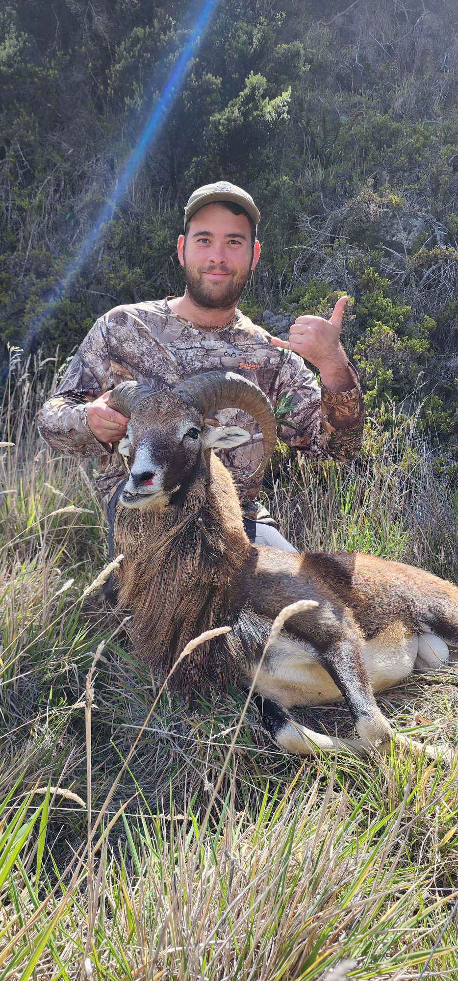 Client Noah + Ram
