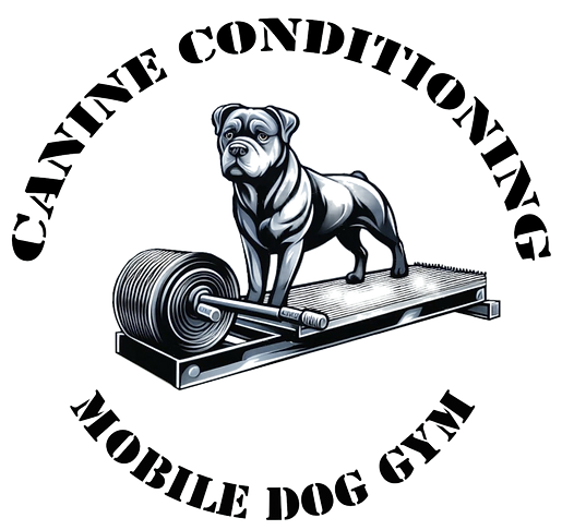 Logo Transparent_edited.png
