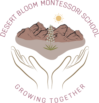 DBMS-transparent logo.png