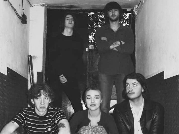 Wild Signs | The Stetsons Electric | Shackites