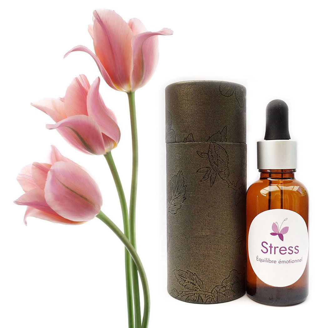 Fleurs de Bach pour la gestion du Stress