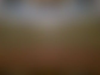 Vánoční betlém v kostele sv. Martina - od Adventního betlému k vánočnímu