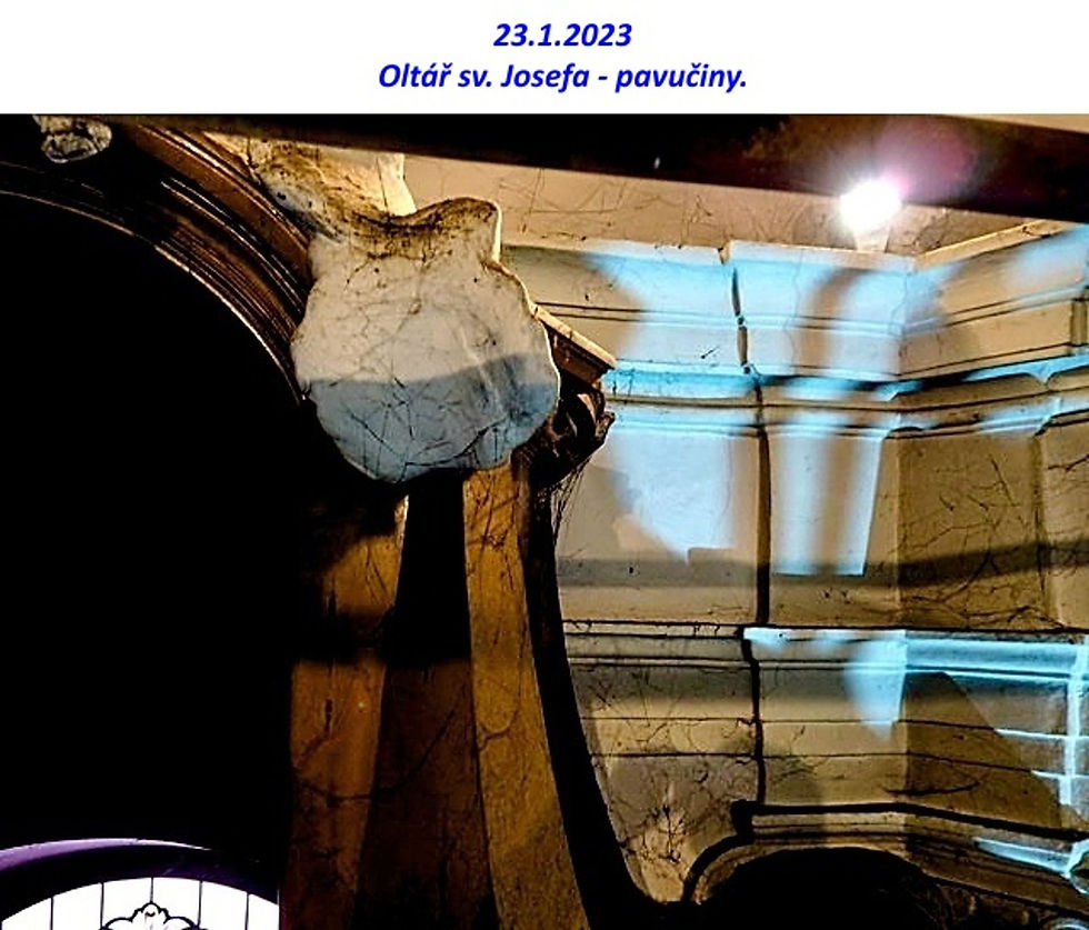 2023_01_23_P1234129 pavučiny