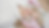 fundo.png
