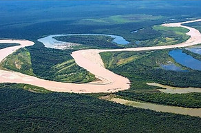 We save the argentinian rainforest