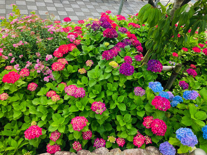  6月19(土)20(日)大阪インターナショナルダンス選 手権大会の中止     