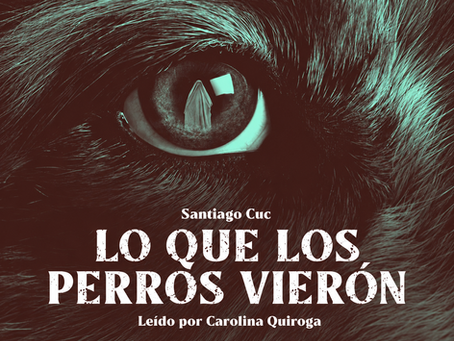 Un fantasma aparece reflejado en las pupilas de un perro.