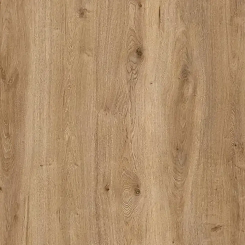 AGT Concept Neo Moderna