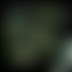 Album Review: Lanayah - I'm Picking Lights In A Field... (Anima Recordings / Drongo Tapes, 2023)