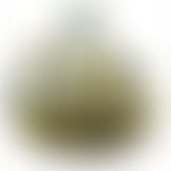 Album Review: The Neal Morse Band - L.I.F.T. (2026, InsideOut Music)