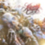 ree
